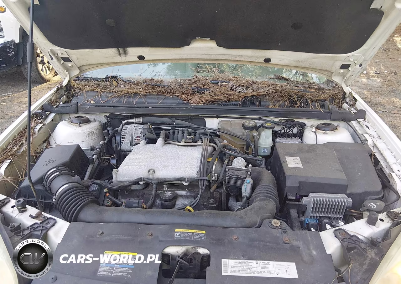 2004 Chevrolet Malibu Maxx Lt VIN:1G1ZU64804F243088 - 10