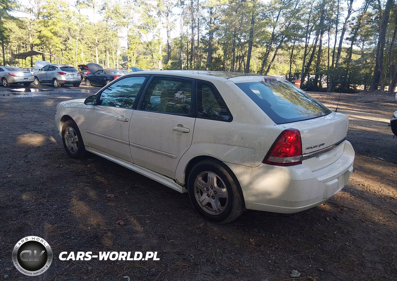 2004 Chevrolet Malibu Maxx Lt VIN:1G1ZU64804F243088 - 3