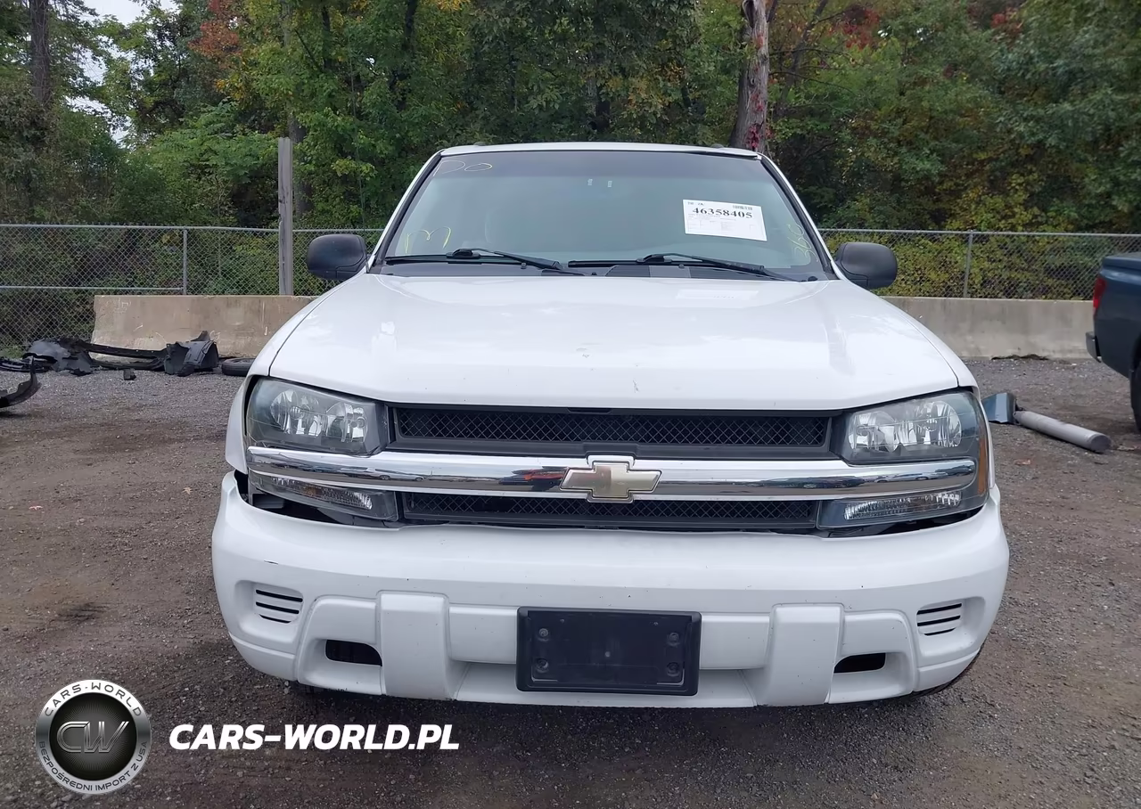 2008 Chevrolet Trailblazer Fleet VIN:1GNDT13S382179329 - 12