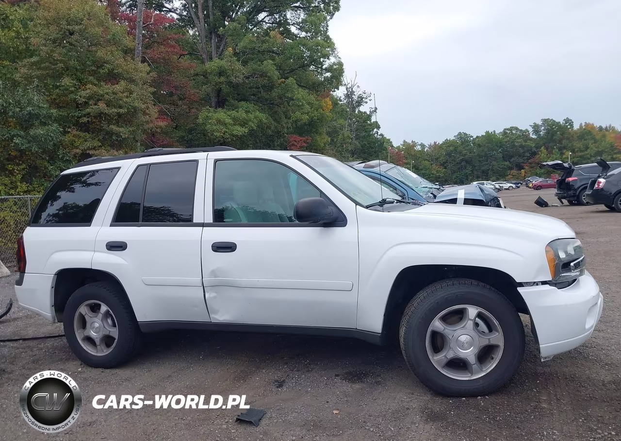 2008 Chevrolet Trailblazer Fleet VIN:1GNDT13S382179329 - 13