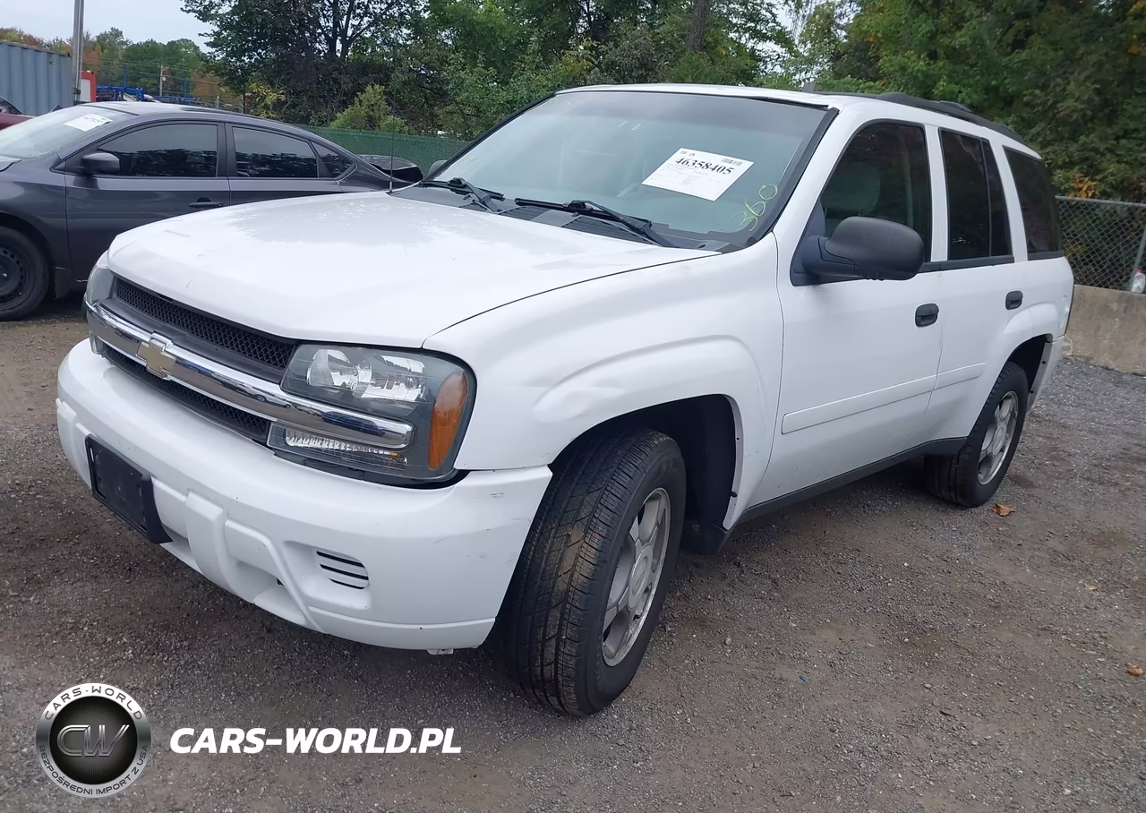 2008 Chevrolet Trailblazer Fleet VIN:1GNDT13S382179329 - 2