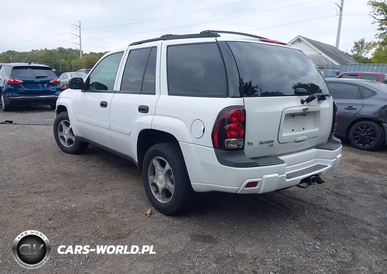 2008 Chevrolet Trailblazer Fleet VIN:1GNDT13S382179329 - 3