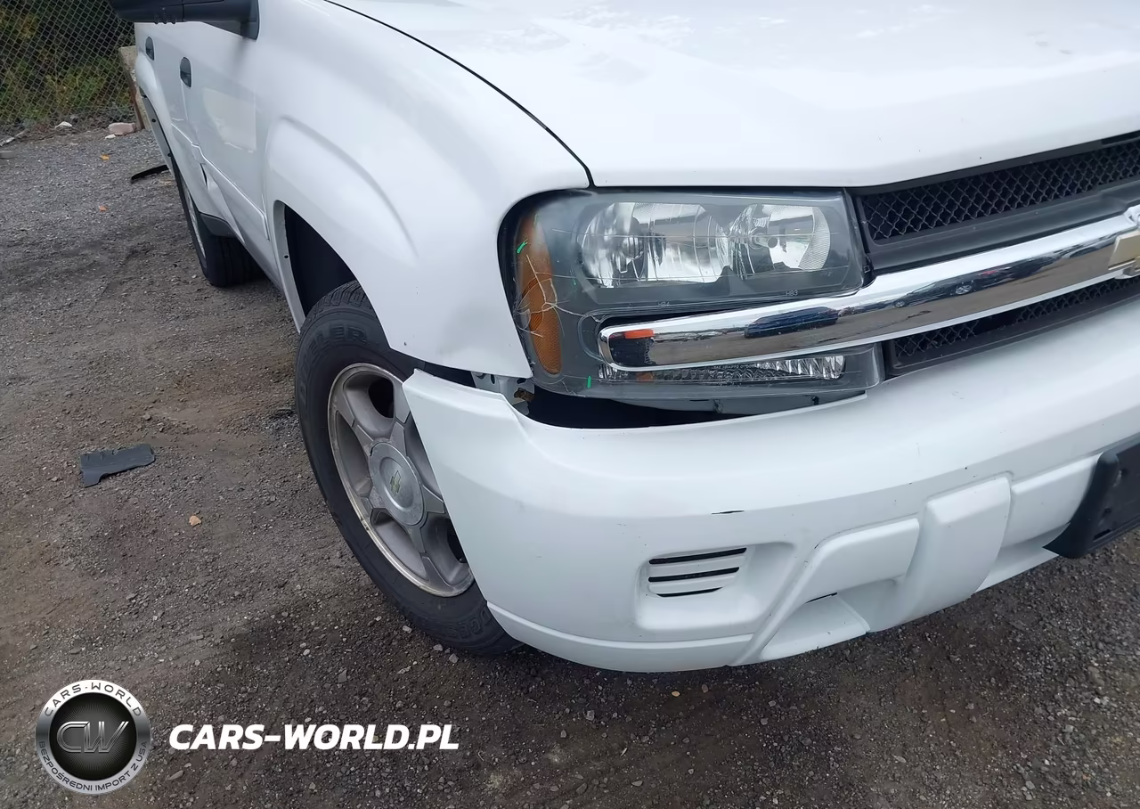 2008 Chevrolet Trailblazer Fleet VIN:1GNDT13S382179329 - 6