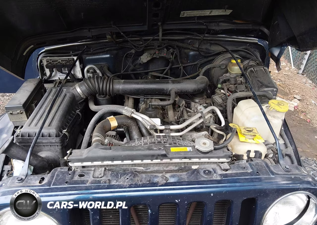 2001 Jeep Wrangler Sport VIN:1J4FA49S91P316373 - 10