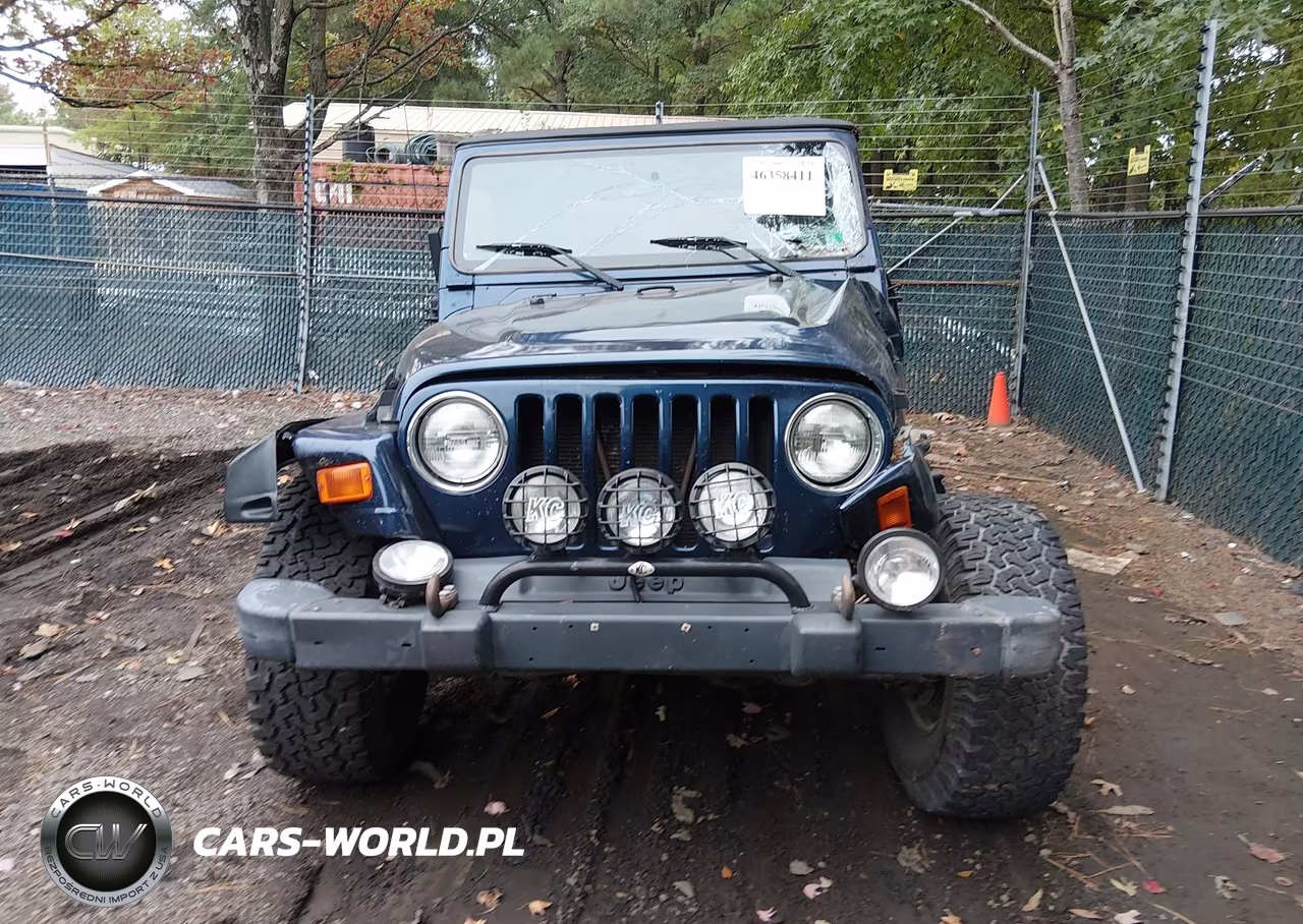 2001 Jeep Wrangler Sport VIN:1J4FA49S91P316373 - 13