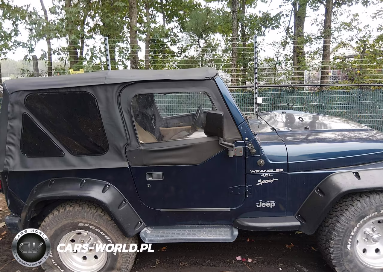 2001 Jeep Wrangler Sport VIN:1J4FA49S91P316373 - 14