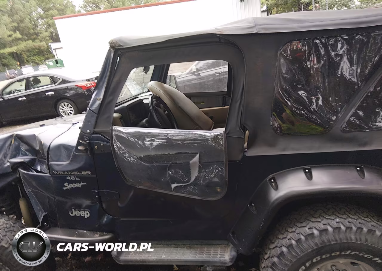 2001 Jeep Wrangler Sport VIN:1J4FA49S91P316373 - 15