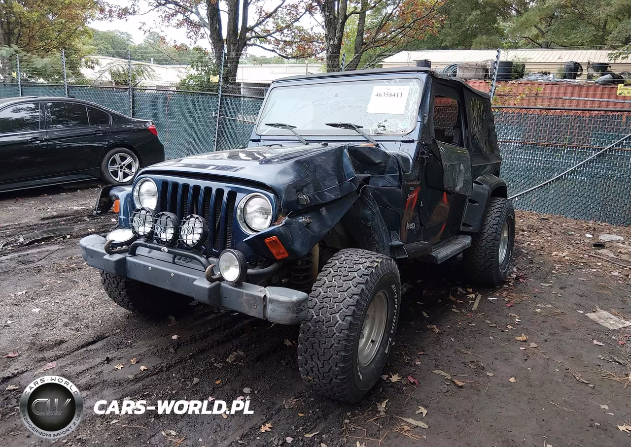 2001 Jeep Wrangler Sport VIN:1J4FA49S91P316373 - 2