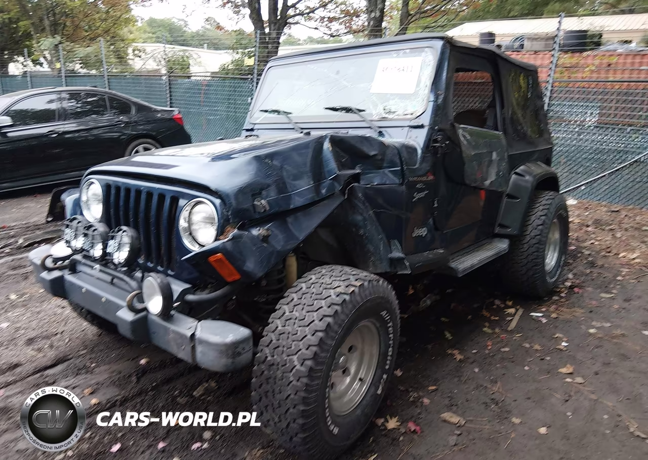 2001 Jeep Wrangler Sport VIN:1J4FA49S91P316373 - 6