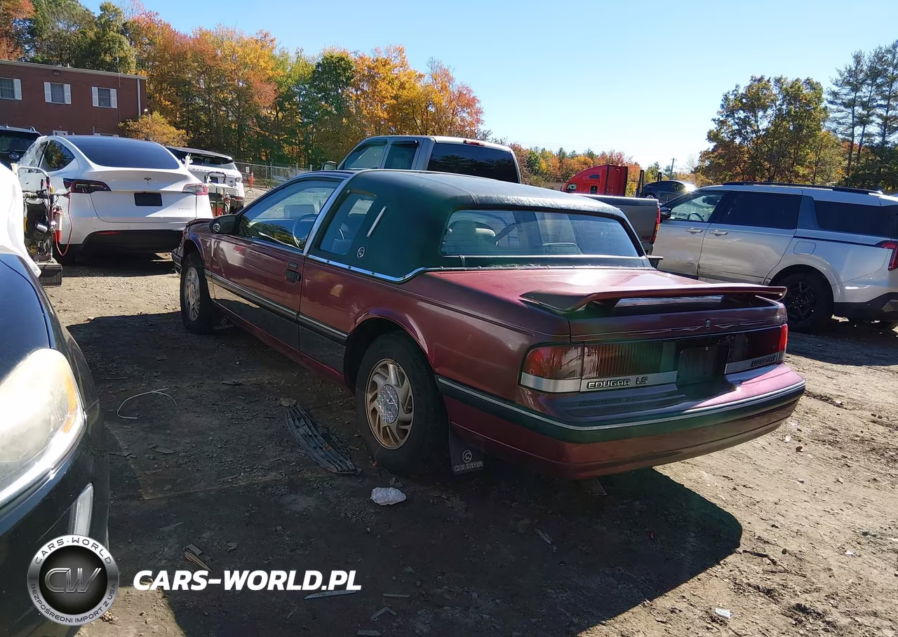 1989 Mercury Cougar Ls VIN:1MEPM6046KH672625 - 3