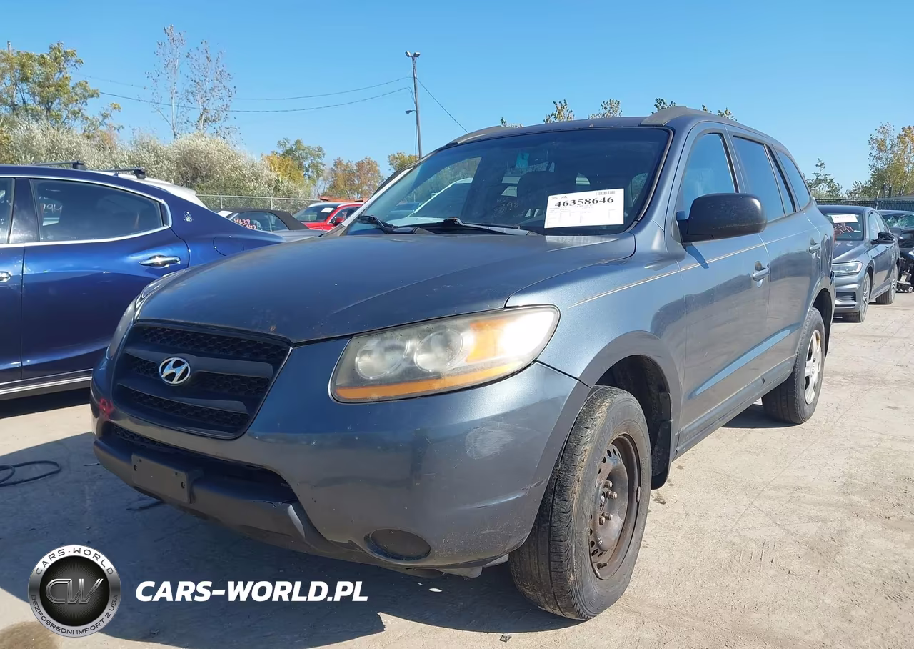 2009 Hyundai Santa Fe Gls VIN:5NMSG13D99H245823 - 2