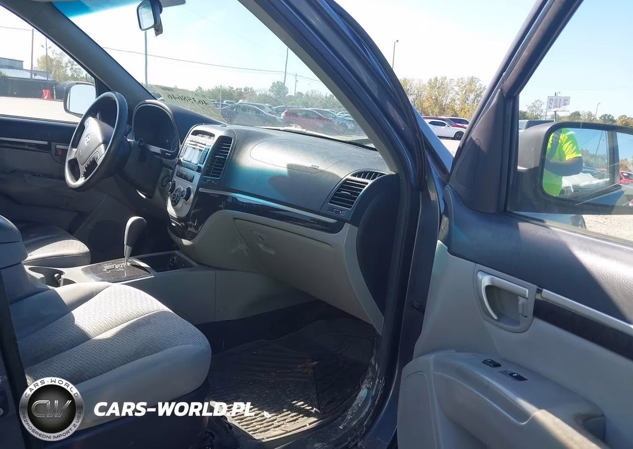 2009 Hyundai Santa Fe Gls VIN:5NMSG13D99H245823 - 5