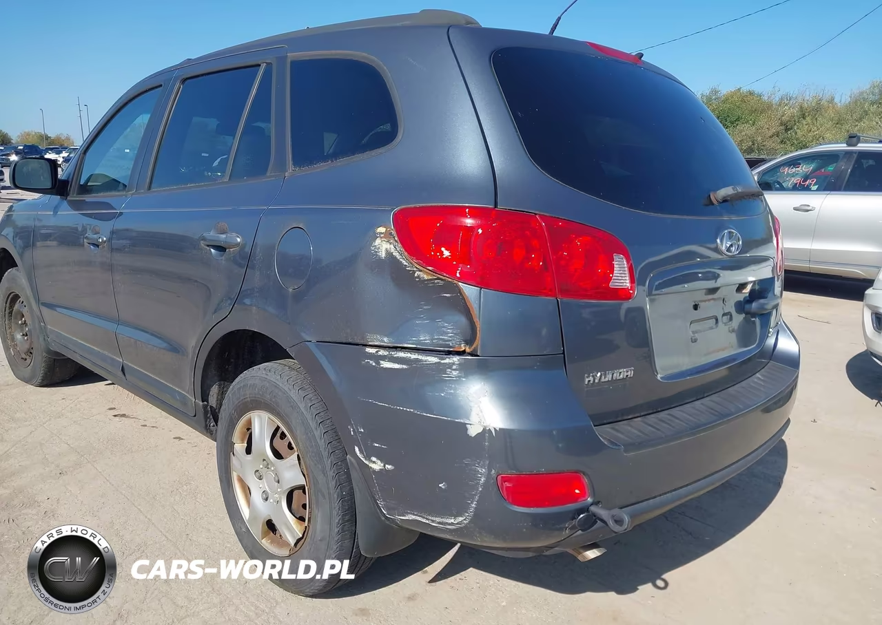 2009 Hyundai Santa Fe Gls VIN:5NMSG13D99H245823 - 6