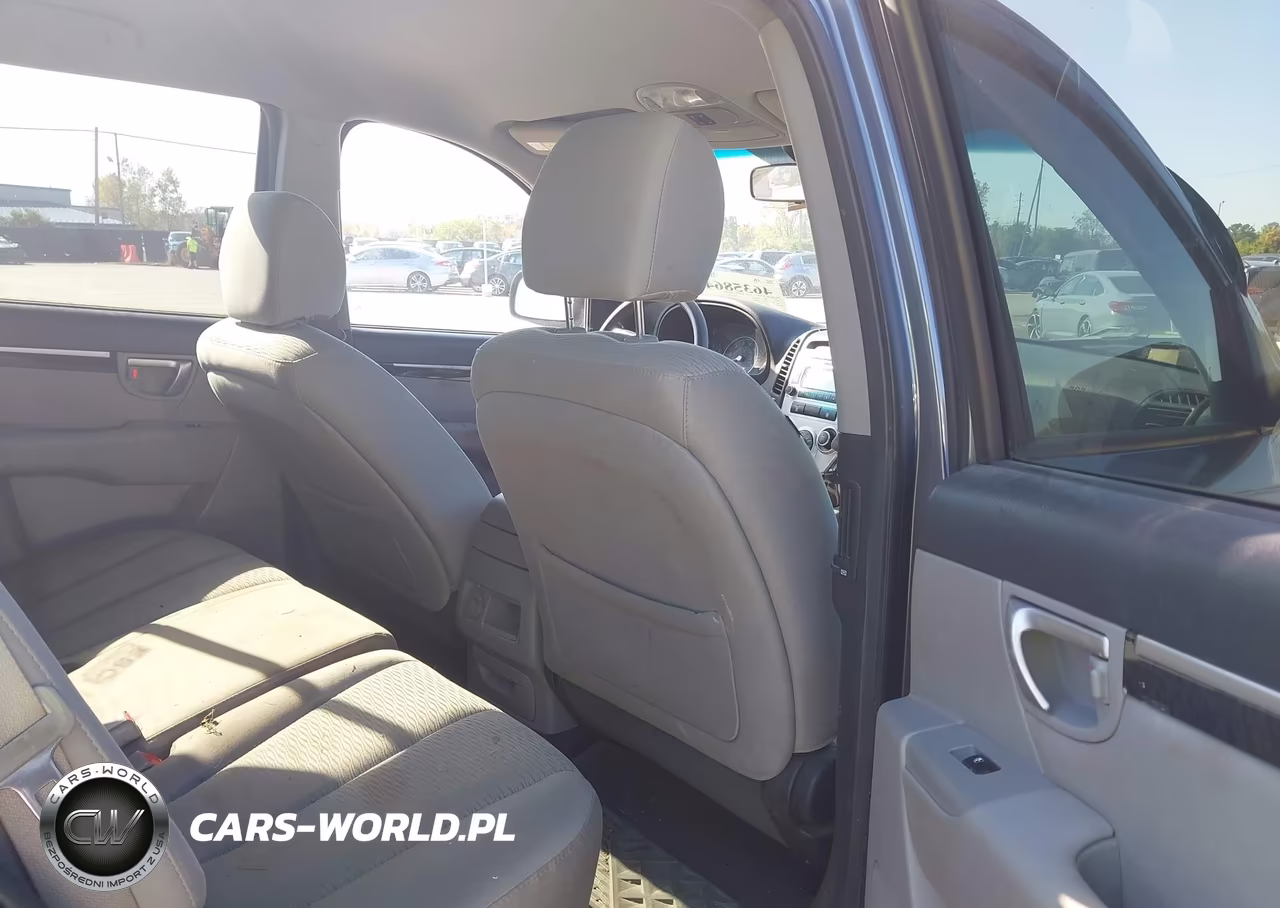 2009 Hyundai Santa Fe Gls VIN:5NMSG13D99H245823 - 8