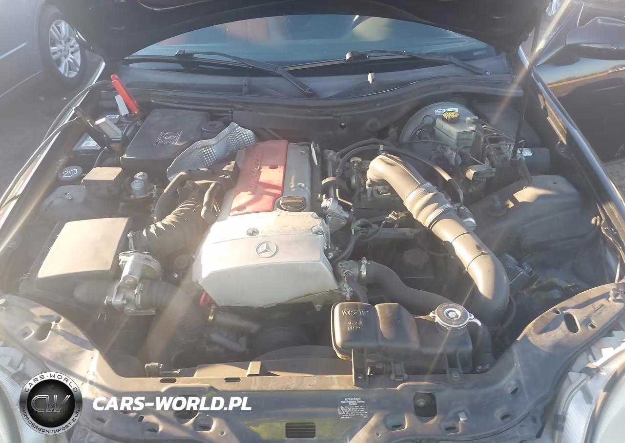 1999 Mercedes-Benz Slk 230 Kompressor VIN:WDBKK47F0XF129222 - 10
