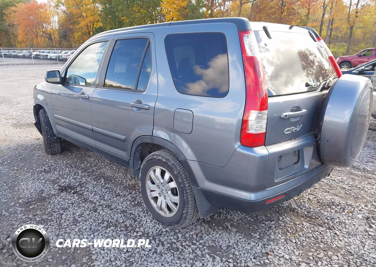 2005 Honda Cr-V Se VIN:JHLRD78915C033167 - 3