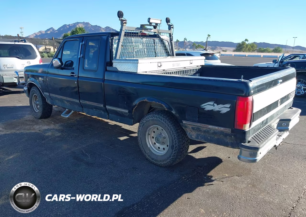 1995 Ford F150 VIN:1FTEX14N3SKA59435 - 3