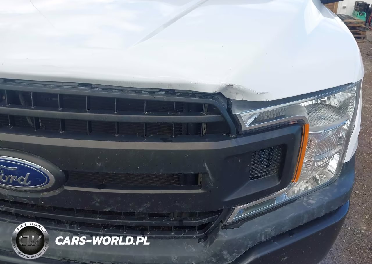 2018 Ford F-150 Xl VIN:1FTEW1E59JKD86597 - 17