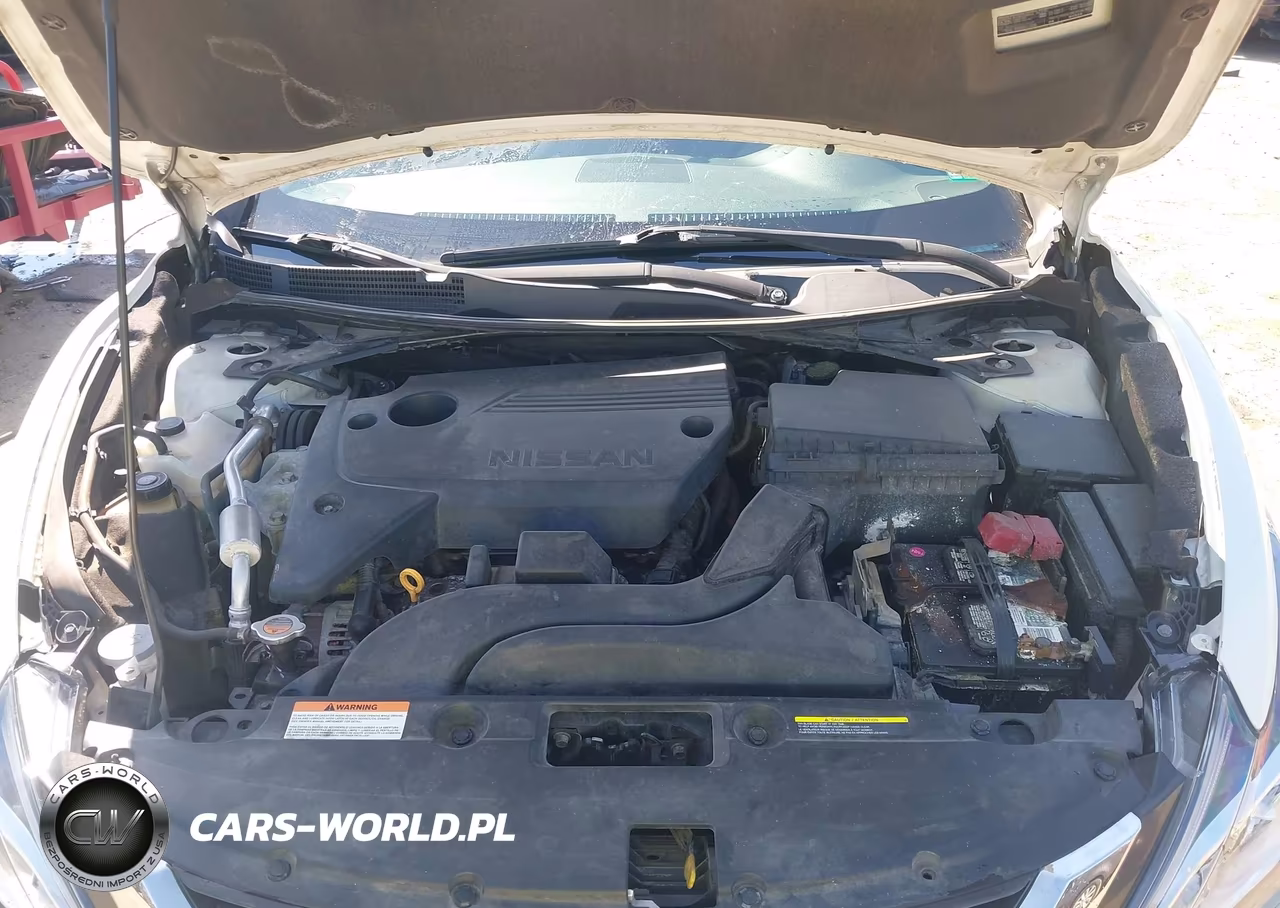 2016 Nissan Altima VIN:1N4AL3AP0GC257697 - 10