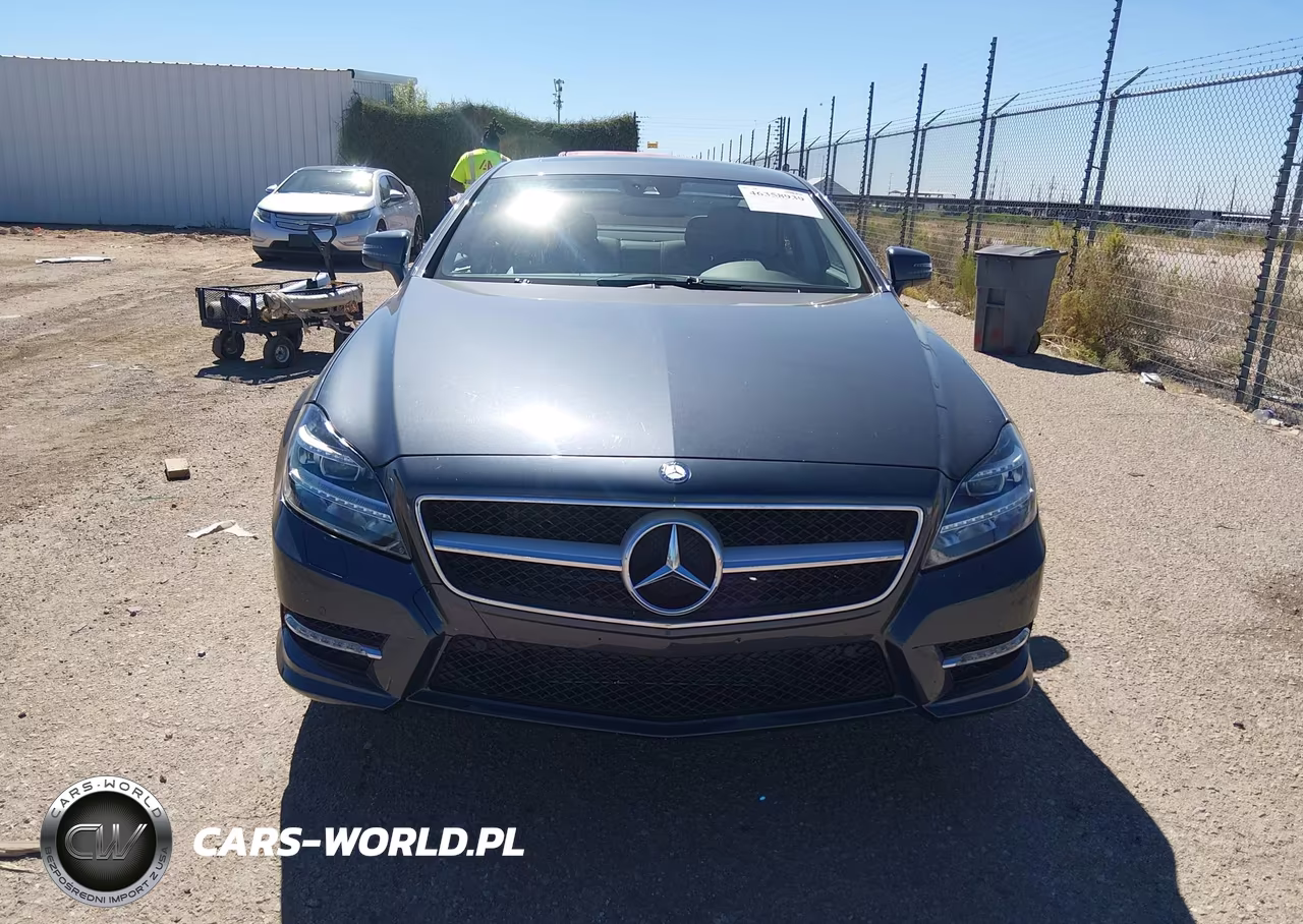2013 Mercedes-Benz Cls 550 VIN:WDDLJ7DB7DA065593 - 12