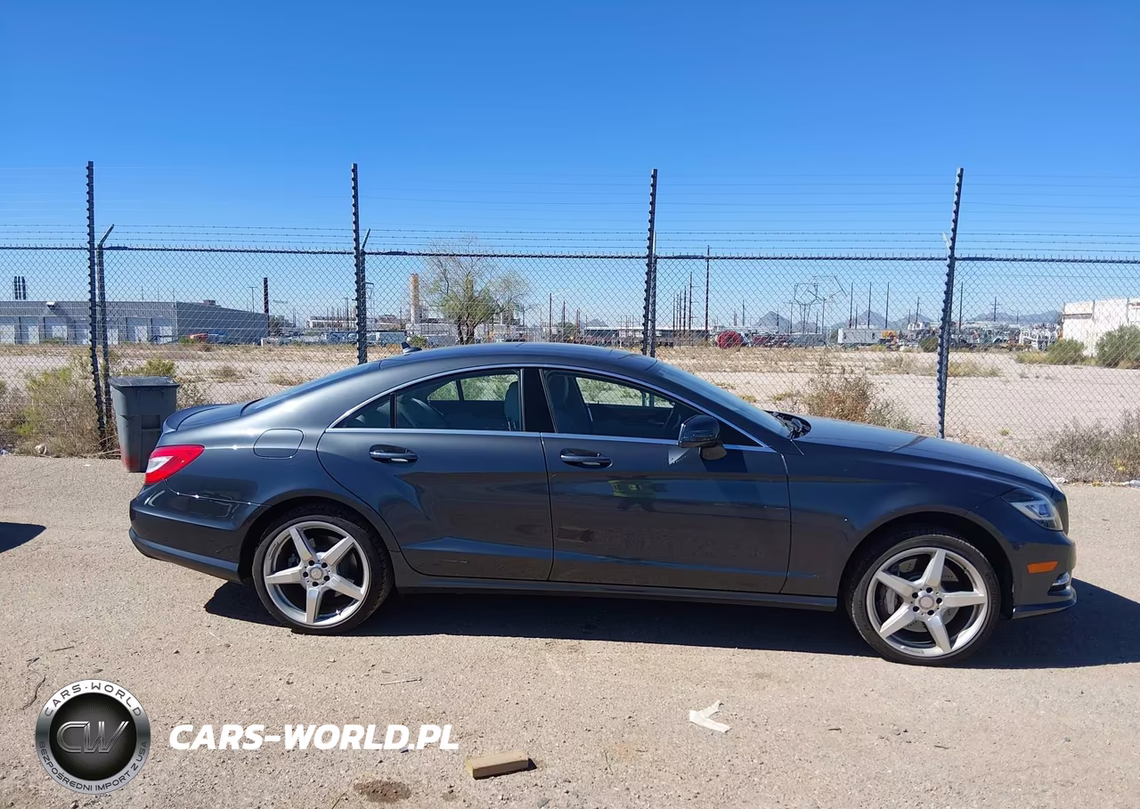 2013 Mercedes-Benz Cls 550 VIN:WDDLJ7DB7DA065593 - 13