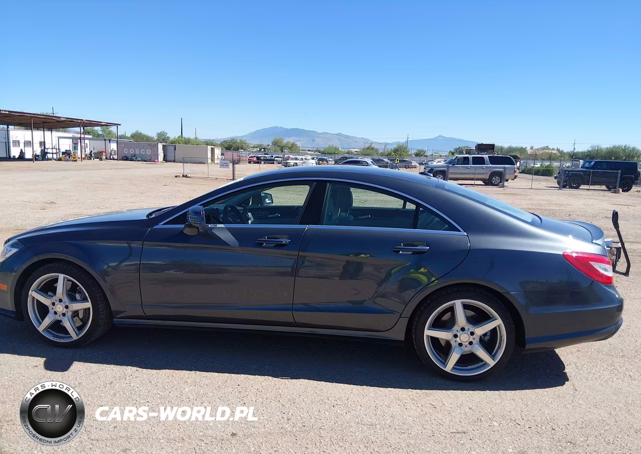 2013 Mercedes-Benz Cls 550 VIN:WDDLJ7DB7DA065593 - 14