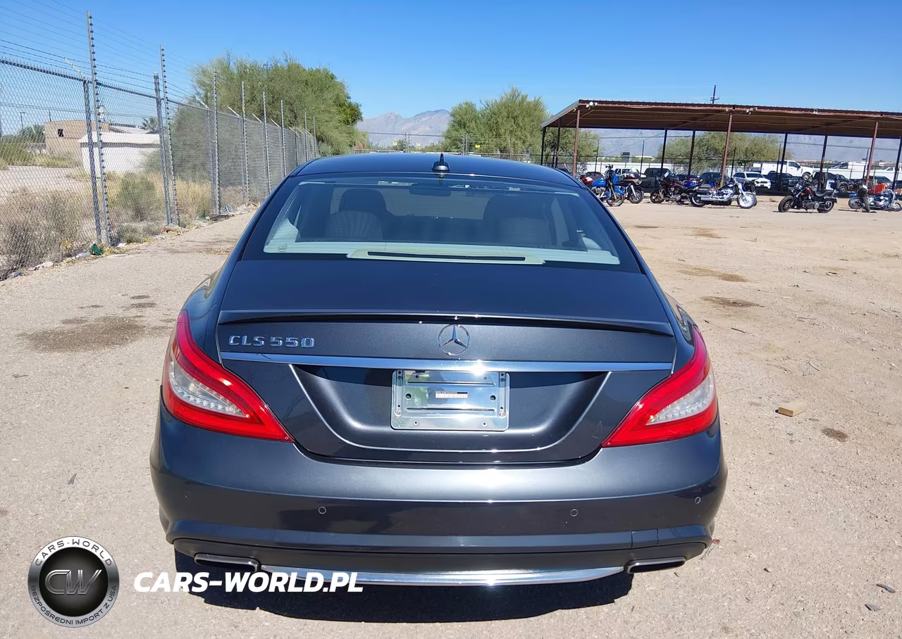 2013 Mercedes-Benz Cls 550 VIN:WDDLJ7DB7DA065593 - 16