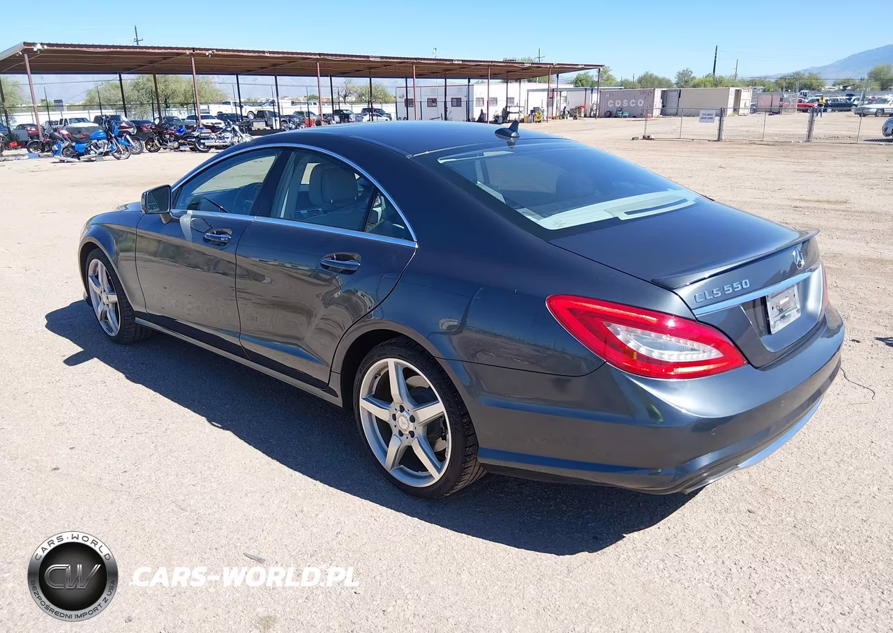 2013 Mercedes-Benz Cls 550 VIN:WDDLJ7DB7DA065593 - 3