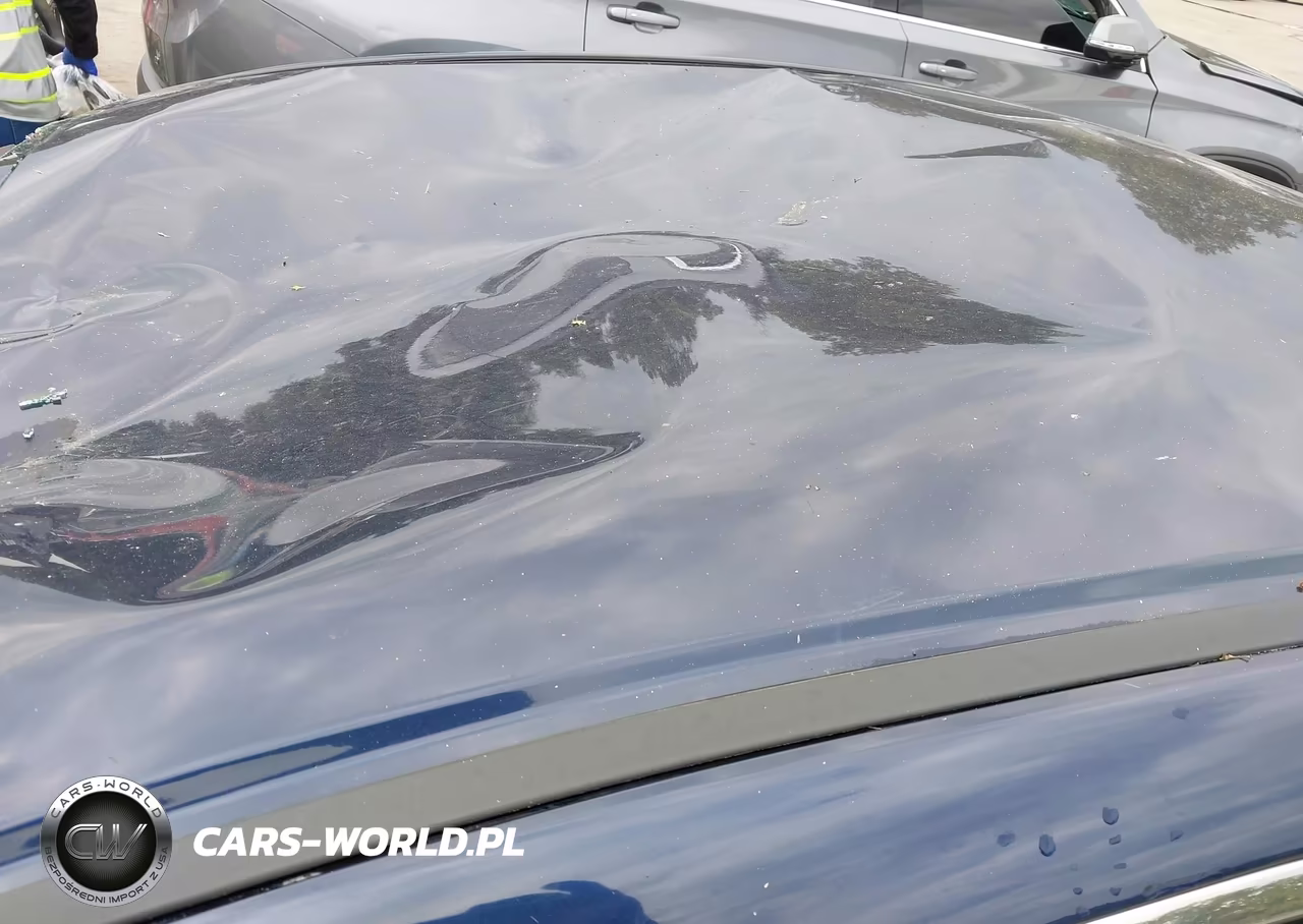 2010 Honda Accord 2.4 Lx VIN:1HGCP2F33AA197443 - 18