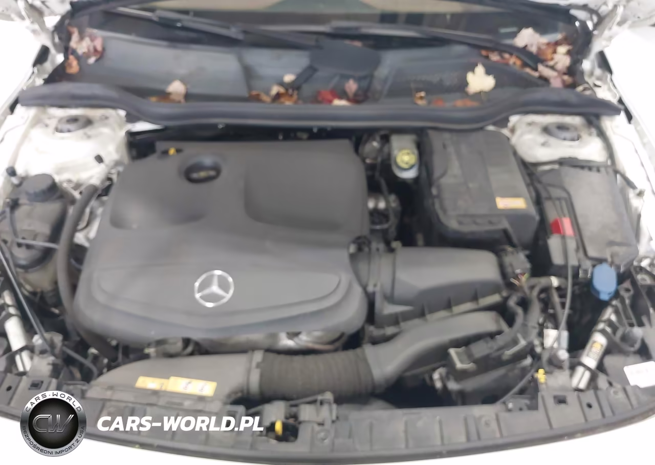 2015 Mercedes-Benz Gla 250 4Matic VIN:WDCTG4GB9FJ038525 - 10