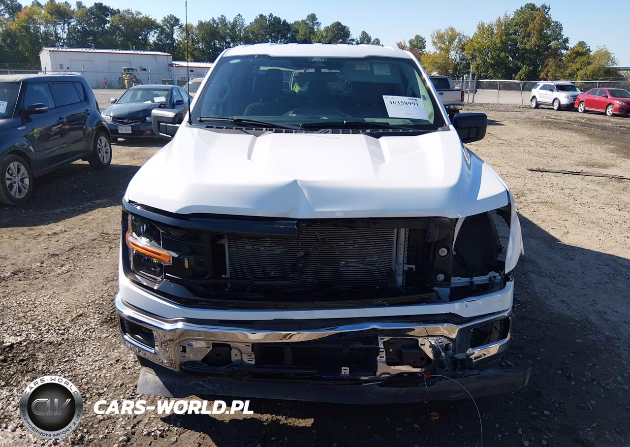2025 Ford F-150 Xlt VIN:1FTEW3K87SKE01576 - 12