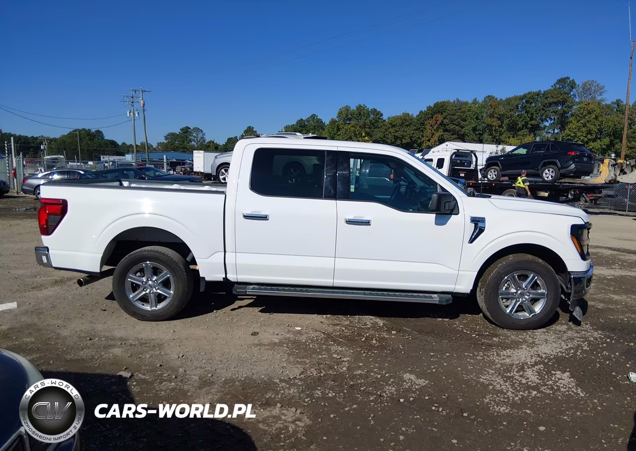 2025 Ford F-150 Xlt VIN:1FTEW3K87SKE01576 - 13