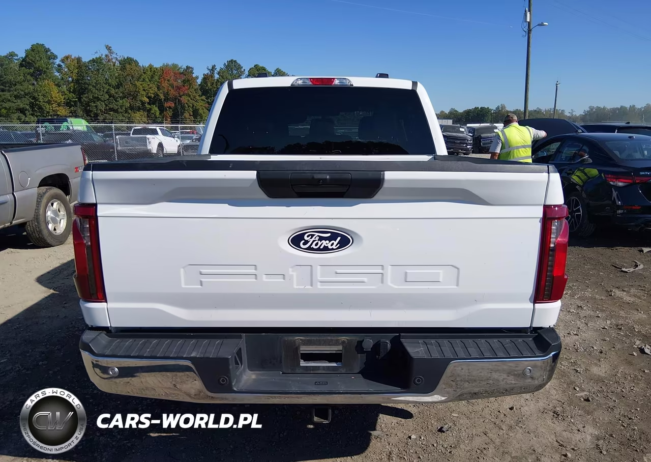 2025 Ford F-150 Xlt VIN:1FTEW3K87SKE01576 - 16