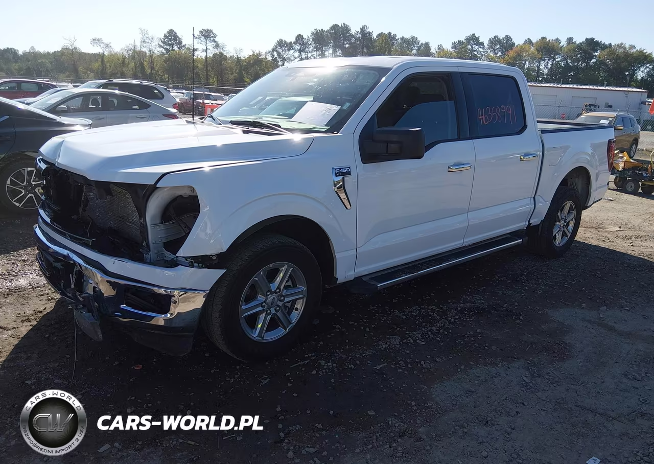 2025 Ford F-150 Xlt VIN:1FTEW3K87SKE01576 - 2