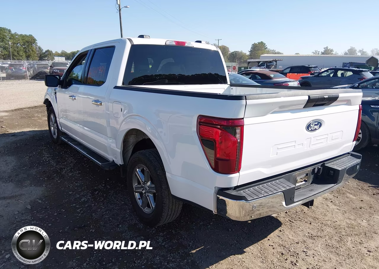 2025 Ford F-150 Xlt VIN:1FTEW3K87SKE01576 - 3