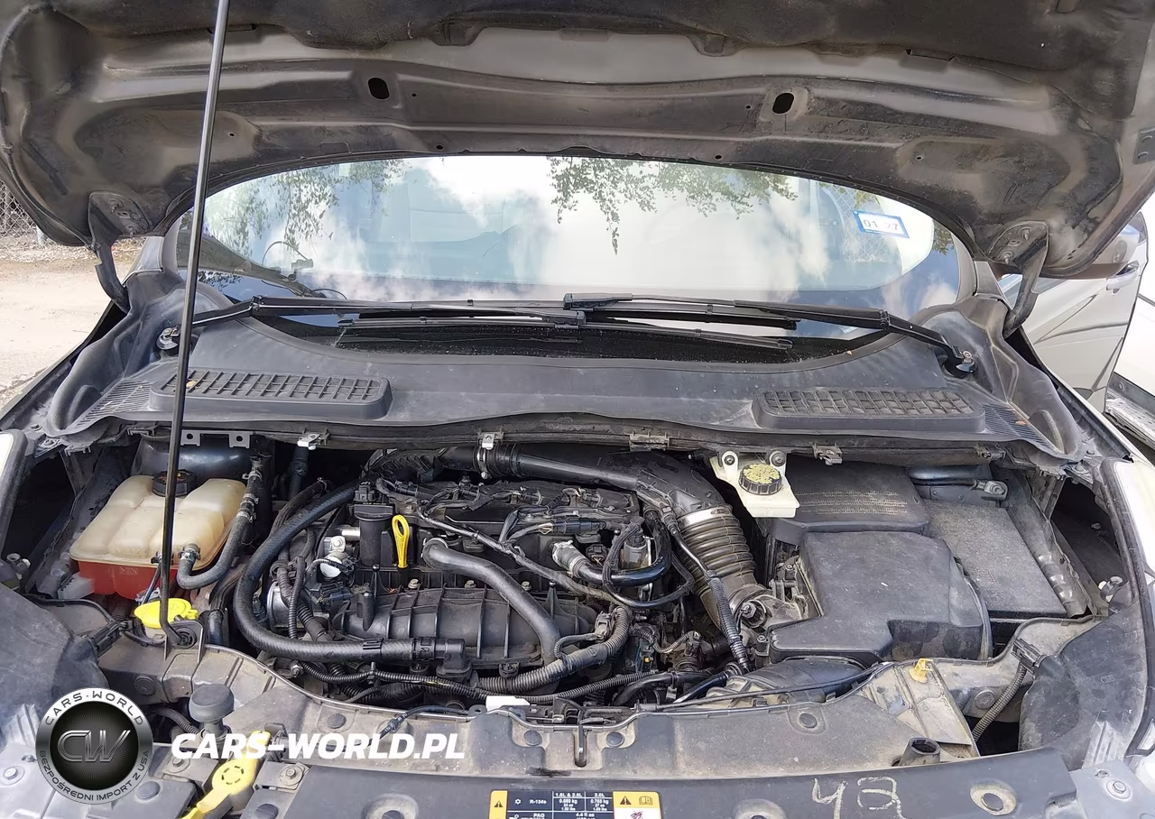 2014 Ford Escape Se VIN:1FMCU0GX7EUA69655 - 10
