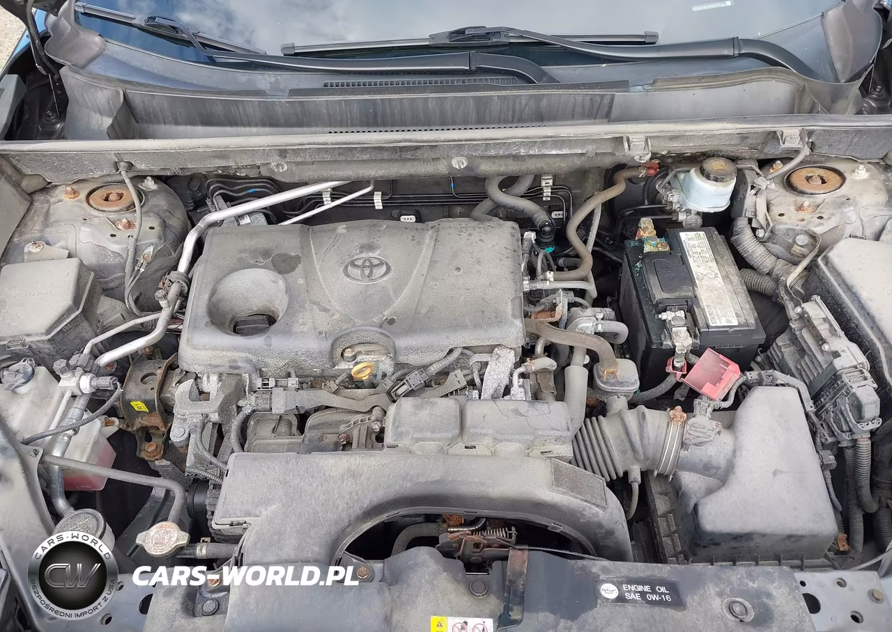 2019 Toyota Rav4 Xle VIN:2T3P1RFV5KC016472 - 10