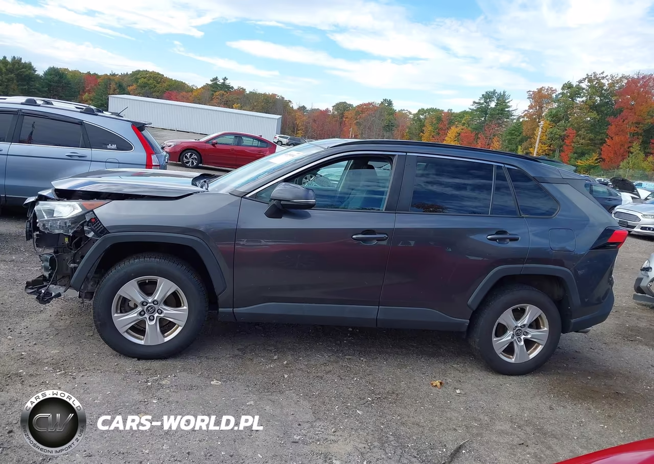 2019 Toyota Rav4 Xle VIN:2T3P1RFV5KC016472 - 15