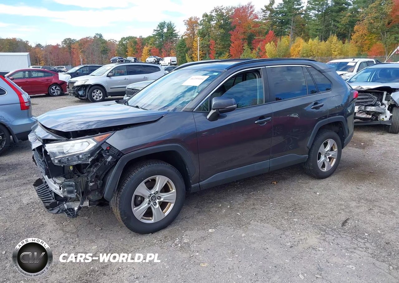 2019 Toyota Rav4 Xle VIN:2T3P1RFV5KC016472 - 2