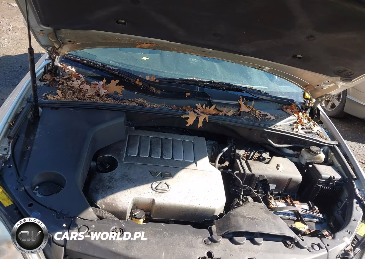 2007 Lexus Rx 350 VIN:2T2HK31U97C012076 - 10