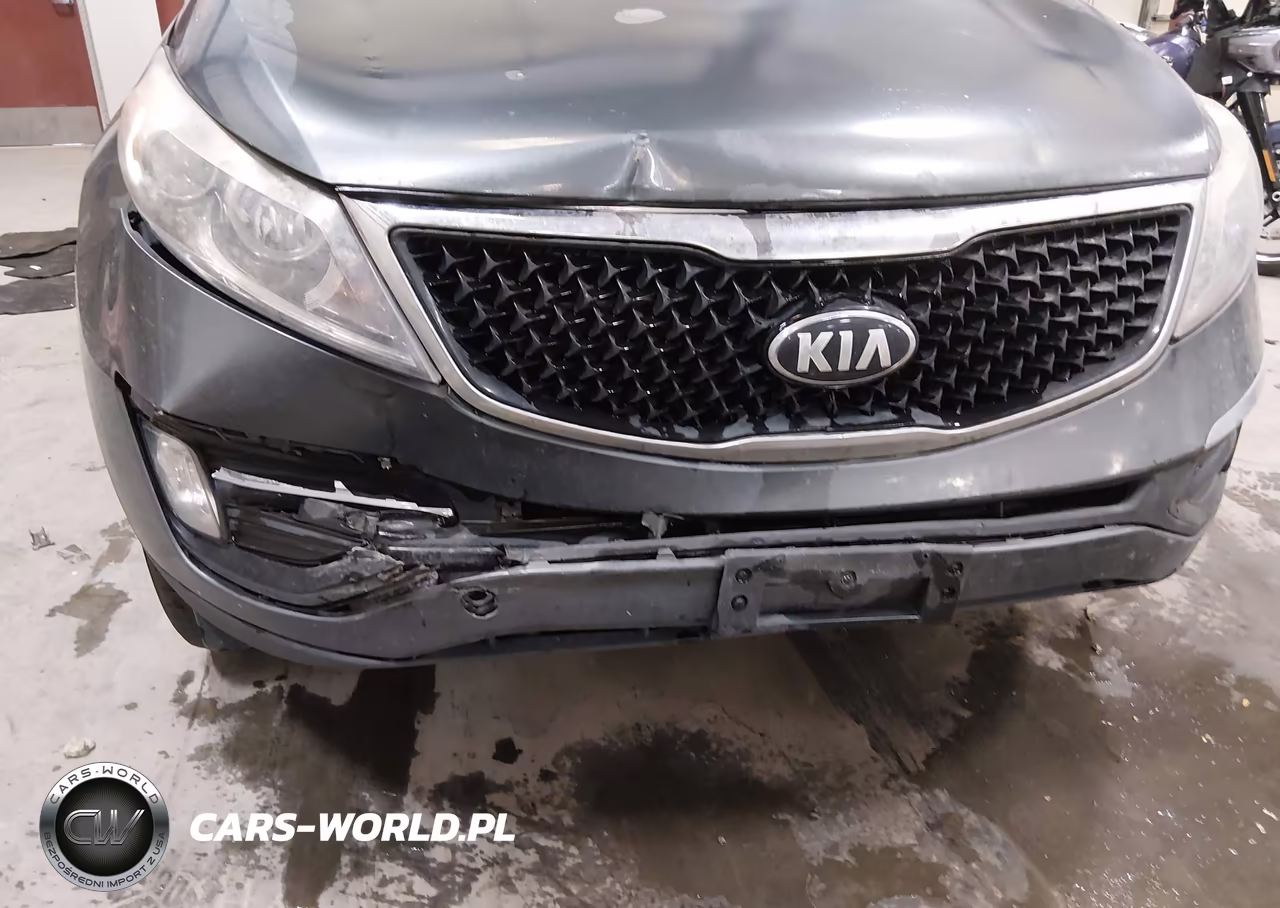 2015 Kia Sportage Ex VIN:KNDPC3AC7F7714014 - 17
