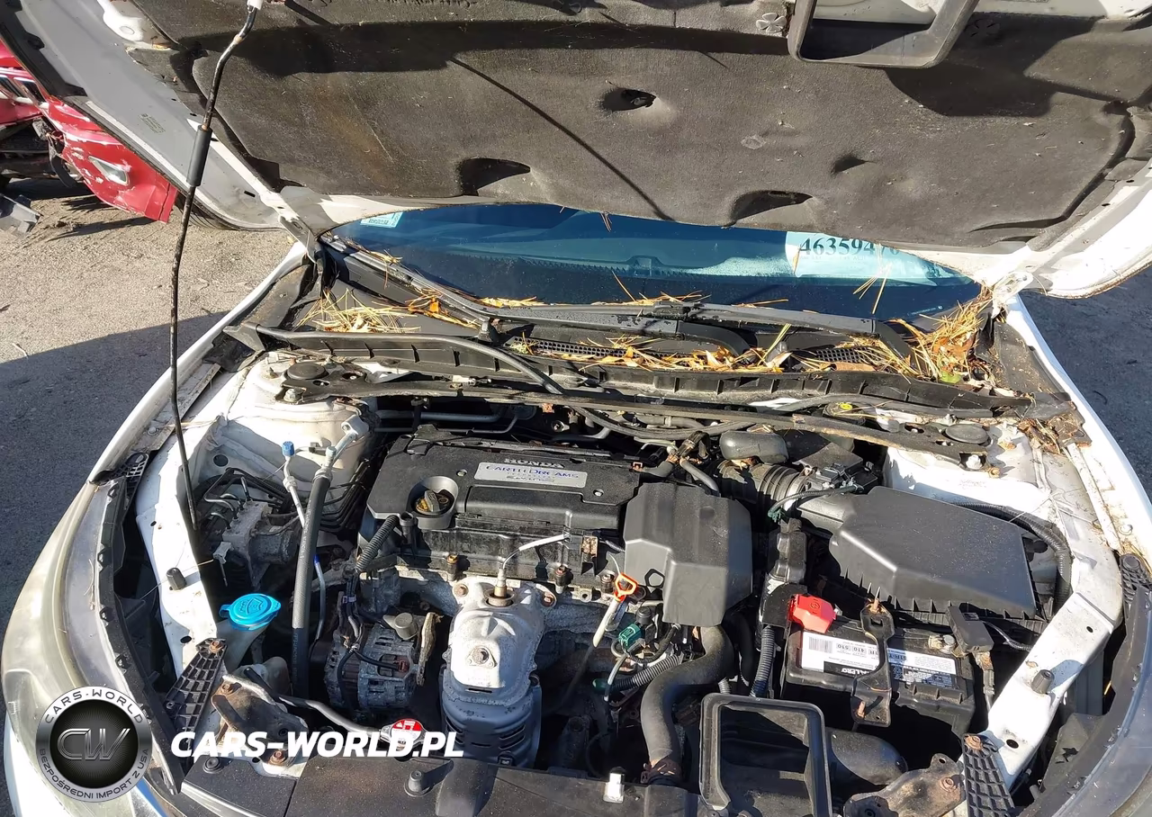 2013 Honda Accord Sport VIN:1HGCR2F58DA081204 - 10