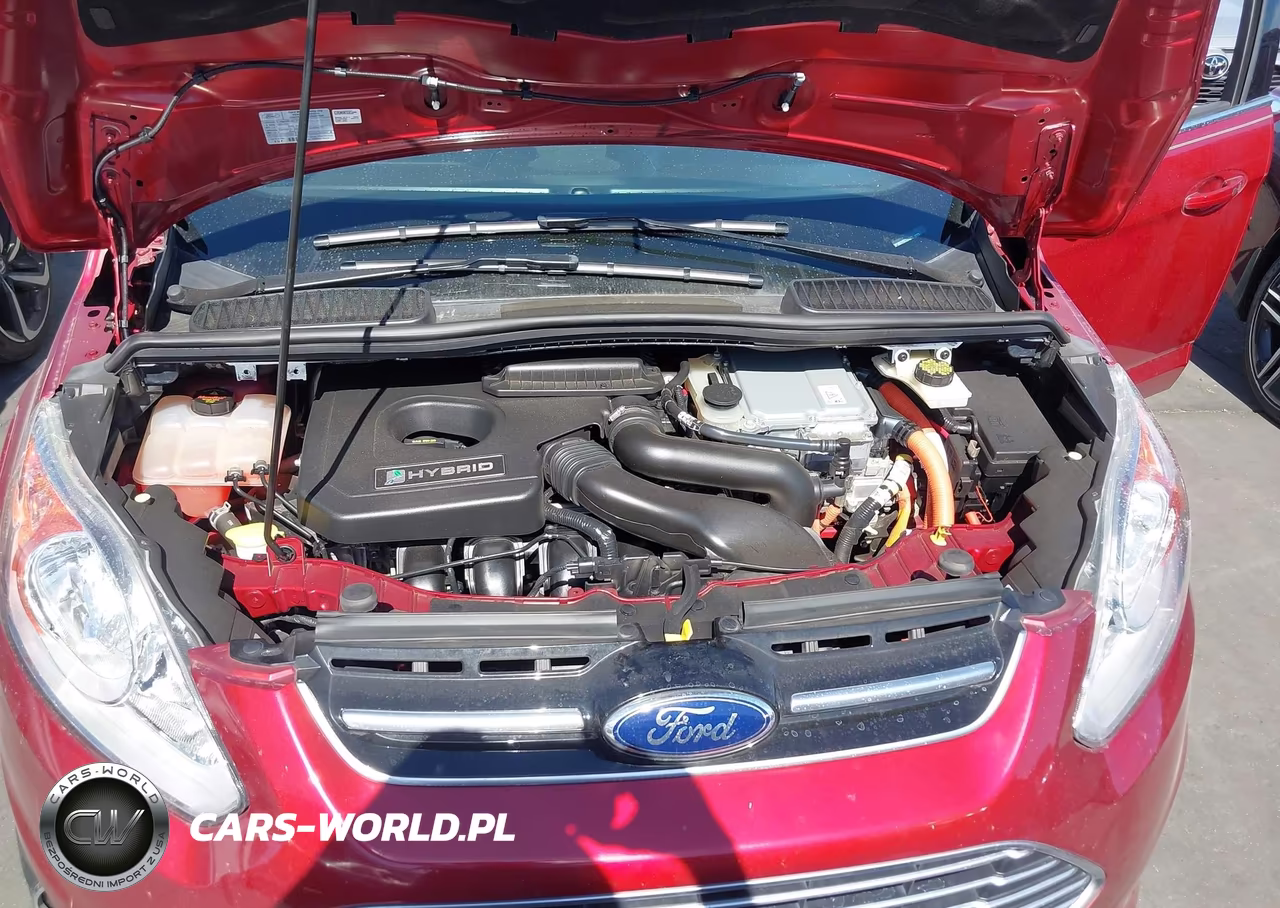 2013 Ford C-Max Hybrid Sel VIN:1FADP5BU2DL534007 - 10