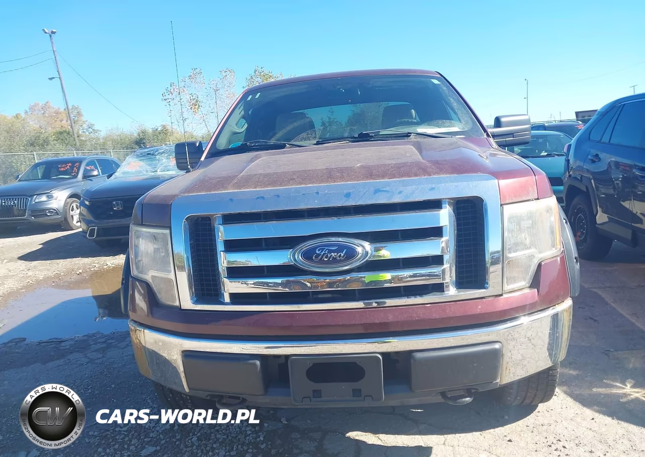 2010 Ford F-150 Stx-Xl-Xlt VIN:1FTEX1E82AFA29455 - 12