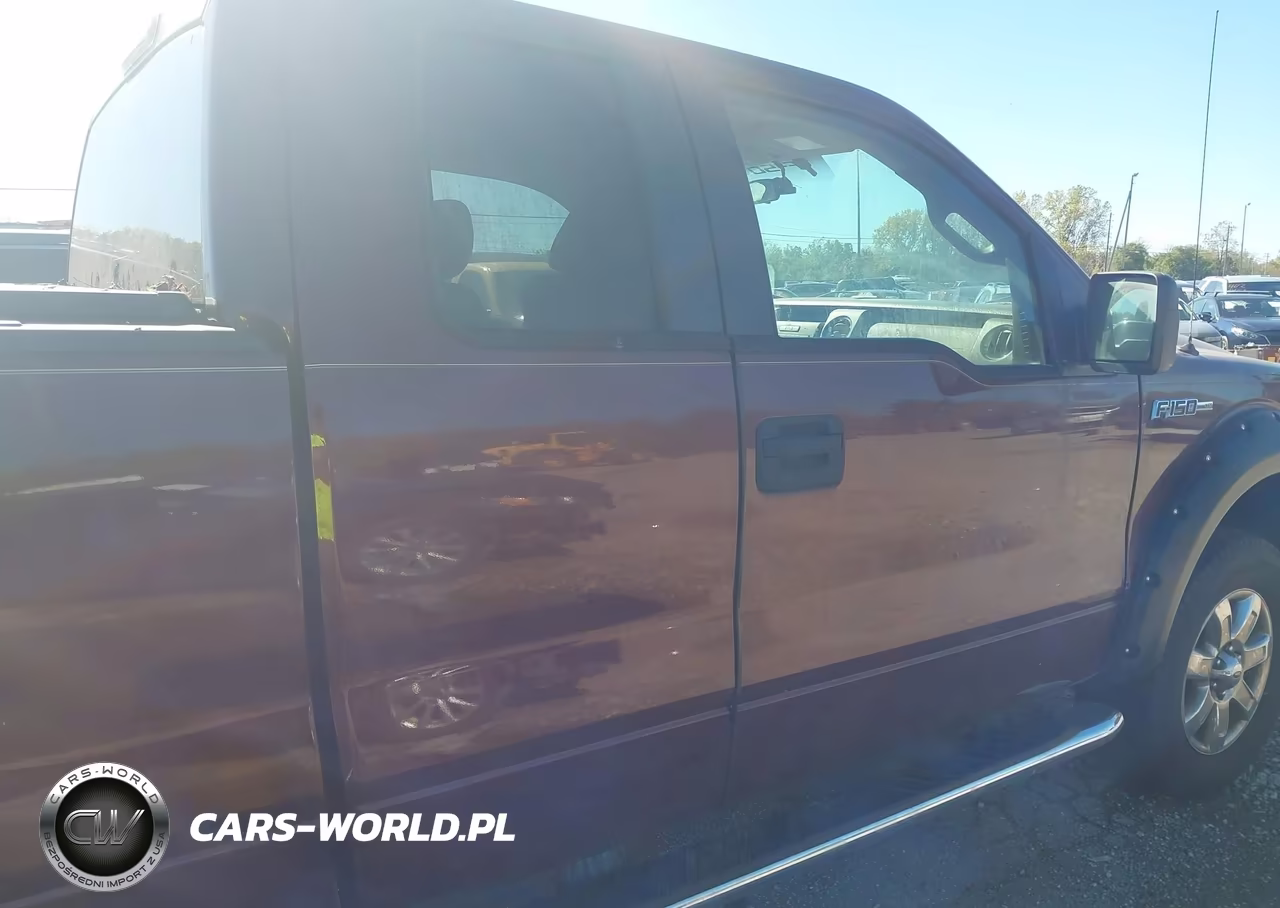 2010 Ford F-150 Stx-Xl-Xlt VIN:1FTEX1E82AFA29455 - 13