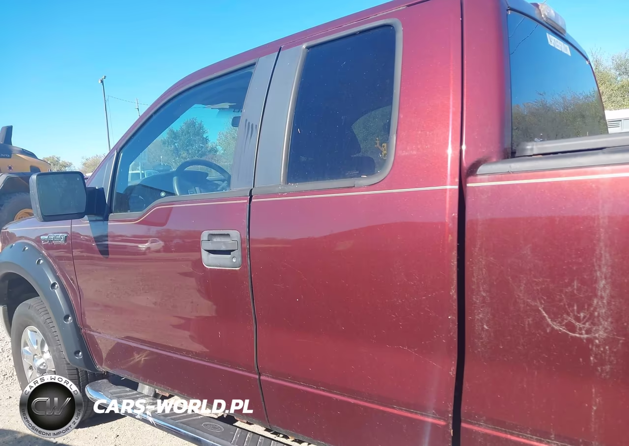 2010 Ford F-150 Stx-Xl-Xlt VIN:1FTEX1E82AFA29455 - 14