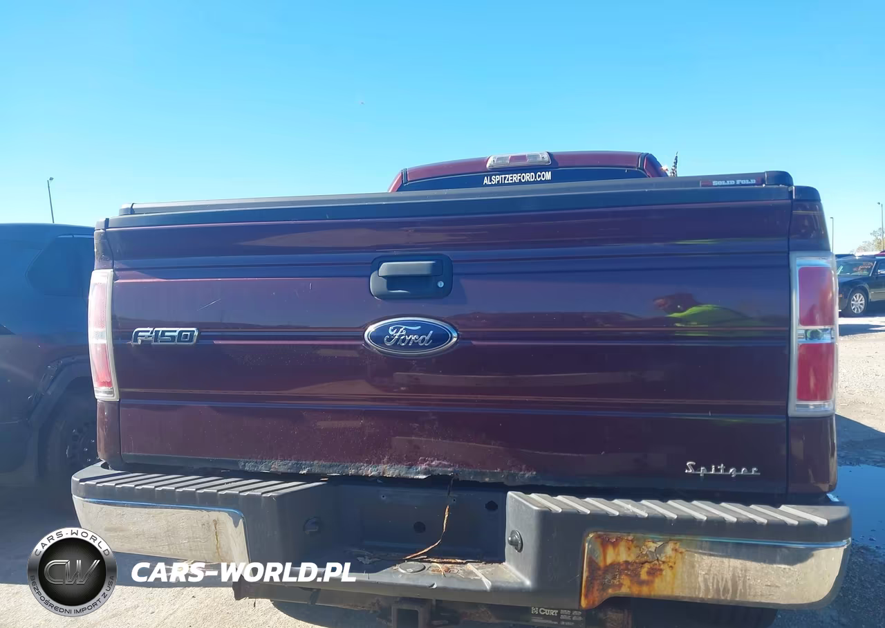 2010 Ford F-150 Stx-Xl-Xlt VIN:1FTEX1E82AFA29455 - 16
