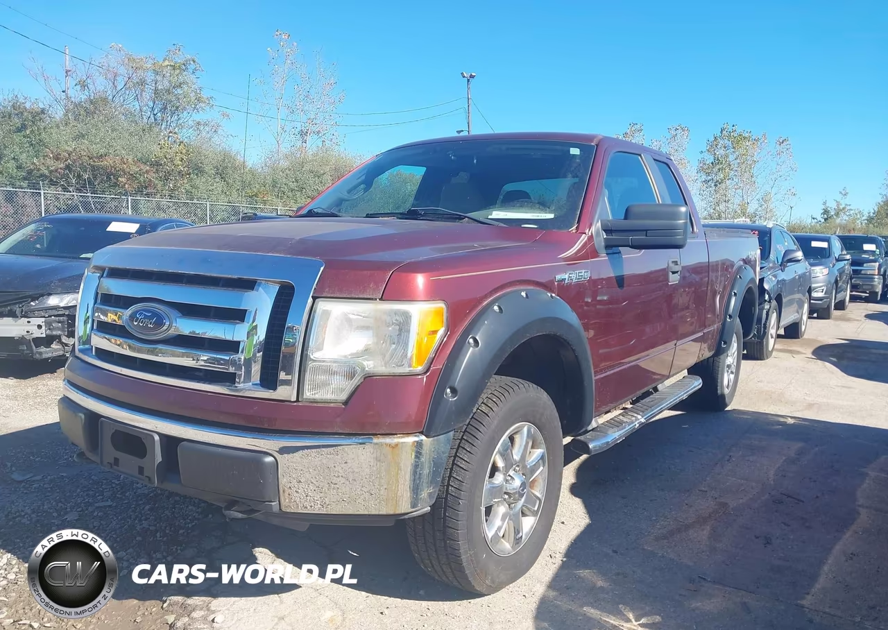 2010 Ford F-150 Stx-Xl-Xlt VIN:1FTEX1E82AFA29455 - 2
