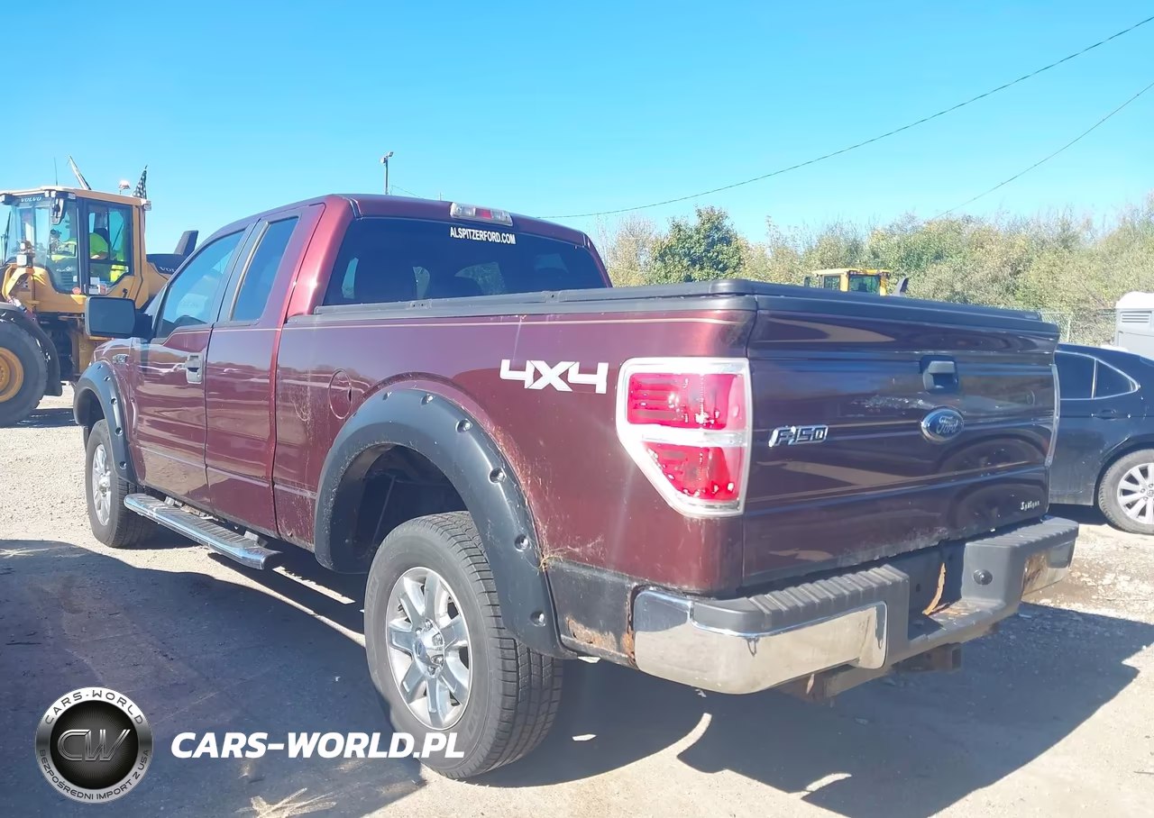 2010 Ford F-150 Stx-Xl-Xlt VIN:1FTEX1E82AFA29455 - 3