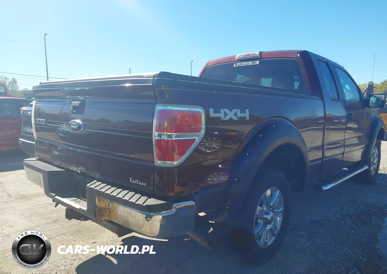 2010 Ford F-150 Stx-Xl-Xlt VIN:1FTEX1E82AFA29455 - 4